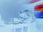 PICT3012_blue (800x600, 82,5 kilobytes)